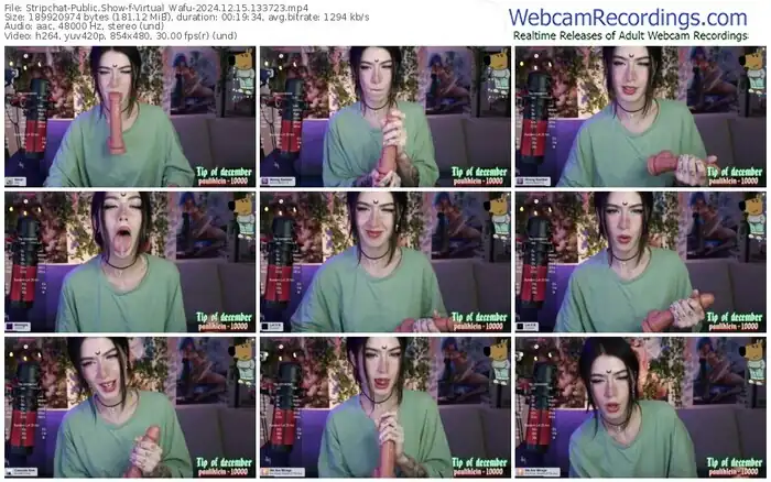 stripchat-virtual_wafu-12-15-2024-13-37-23