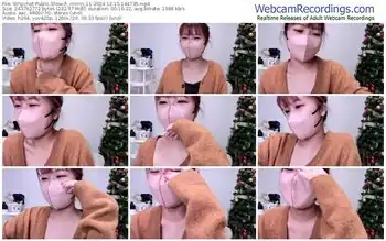 stripchat-_rin-rin_11-12-15-2024-14-47-35