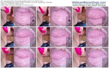 stripchat-danigirl866-12-15-2024-23-52-51