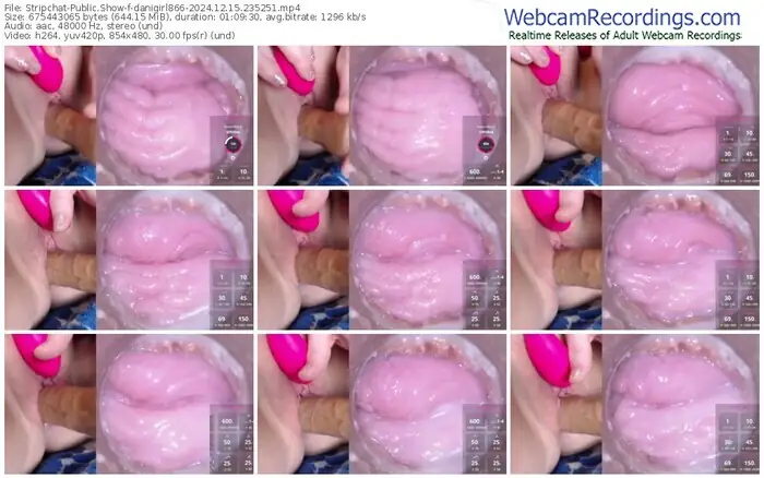 stripchat-danigirl866-12-15-2024-23-52-51