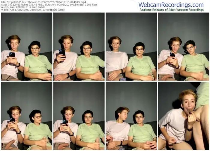 stripchat-theskyboys-12-15-2024-02-49-49