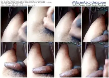 stripchat-vignesh3246-12-15-2024-06-44-33