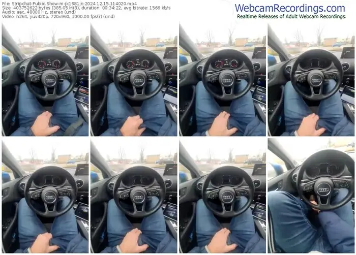 stripchat-jk1981jk-12-15-2024-11-40-20
