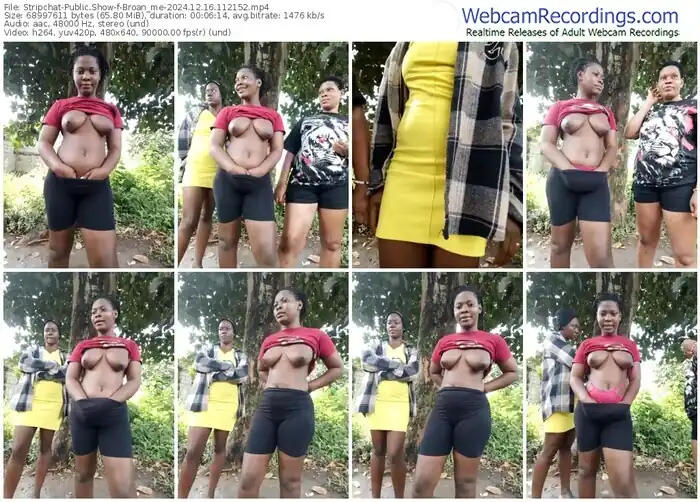 stripchat-broan_me-12-16-2024-11-21-52