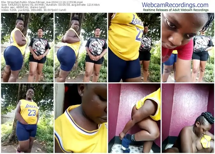 stripchat-broan_me-12-16-2024-11-55-39