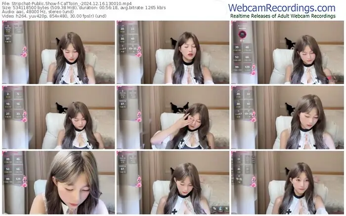 stripchat-cattoiin_-12-16-2024-13-00-10