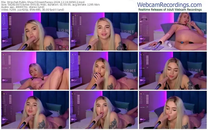 stripchat-dreampussyy-12-16-2024-06-56-12