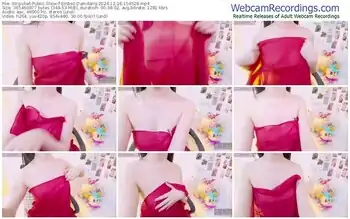 stripchat-embez-damdang-12-16-2024-15-45-28