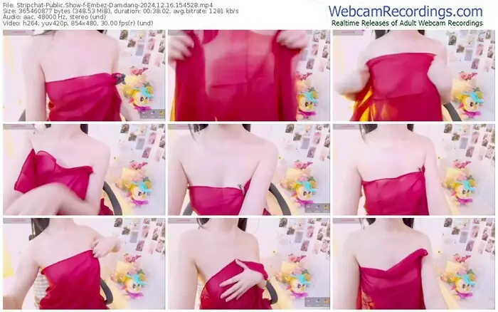 stripchat-embez-damdang-12-16-2024-15-45-28