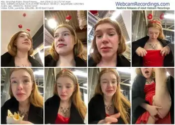 stripchat-honey___hot-12-16-2024-17-17-47