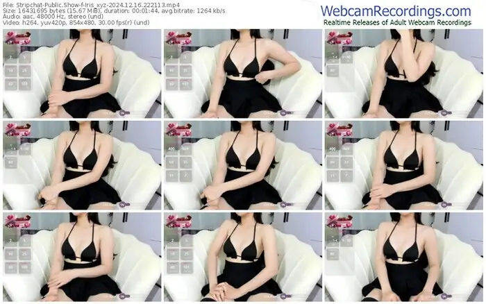 stripchat-iris_xyz-12-16-2024-22-21-13