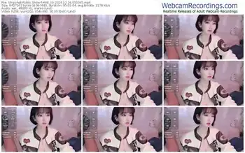 stripchat-mist_lili-12-16-2024-05-03-45