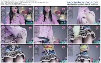 stripchat-o0_0q-12-16-2024-17-38-32