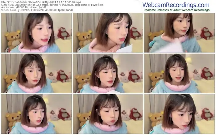 stripchat-onekitty-12-16-2024-15-06-30
