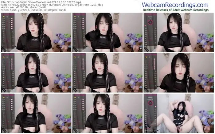 stripchat-vaness-a-12-16-2024-15-22-52