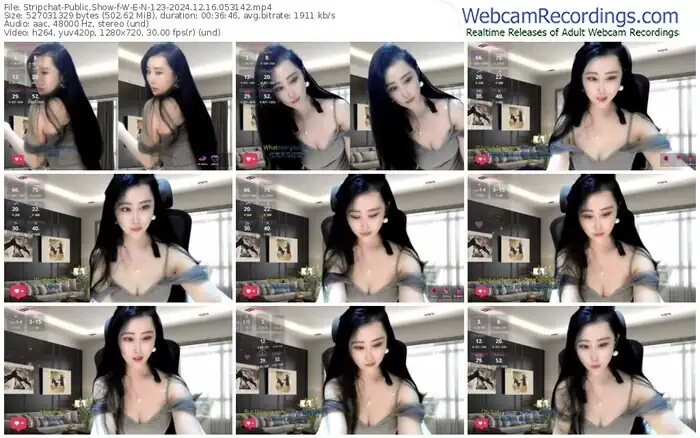 stripchat-w-e-n-123-12-16-2024-05-31-42