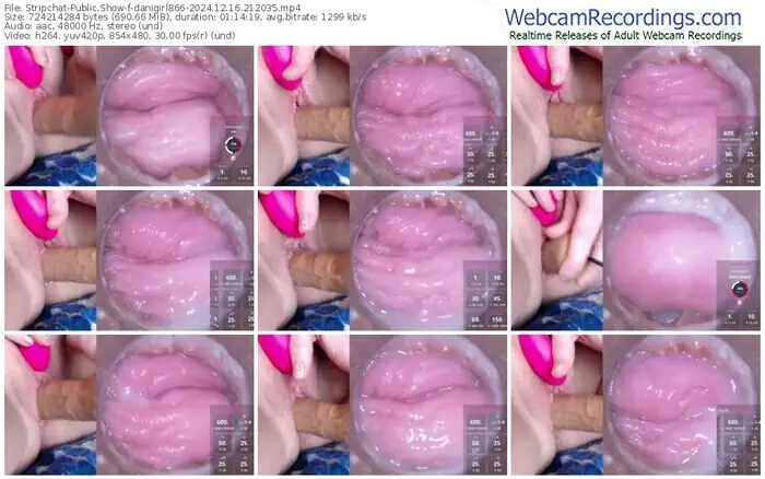 stripchat-danigirl866-12-16-2024-21-20-35