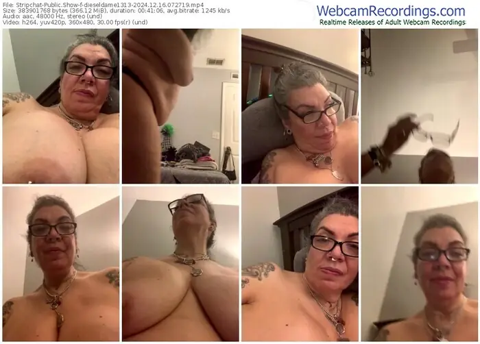 stripchat-dieseldame1313-12-16-2024-07-27-19