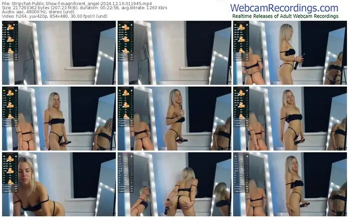 stripchat-magnificent_angel-12-16-2024-01-19-45