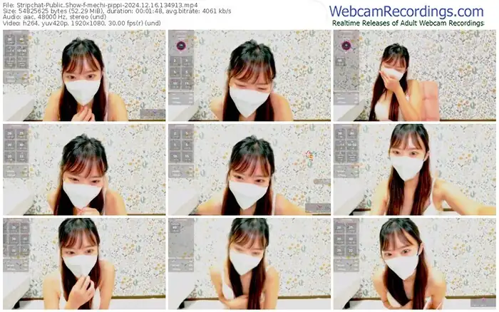 stripchat-mechi-pippi-12-16-2024-13-49-13