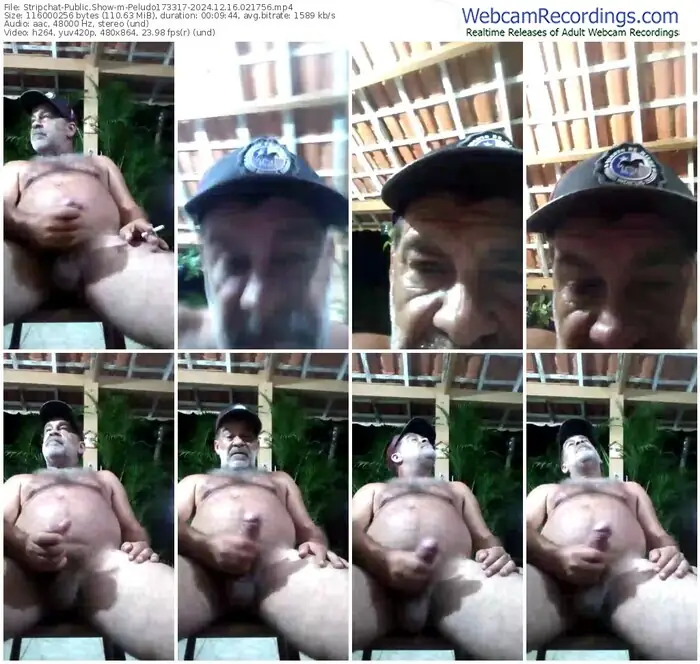 stripchat-peludo173317-12-16-2024-02-17-56