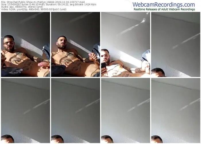 stripchat-charlye_inkkkk-12-16-2024-10-37-17