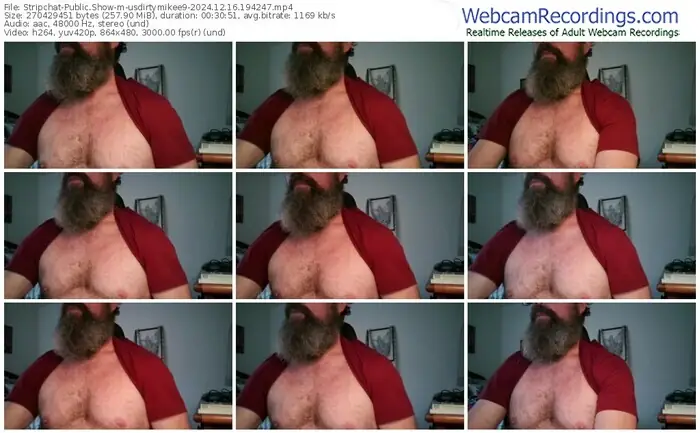 stripchat-usdirtymikee9-12-16-2024-19-42-47