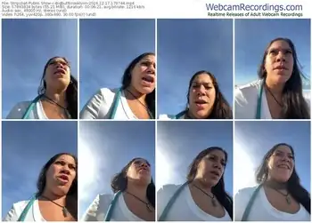 stripchat-bigbuttbrooklynn-12-17-2024-17-07-44