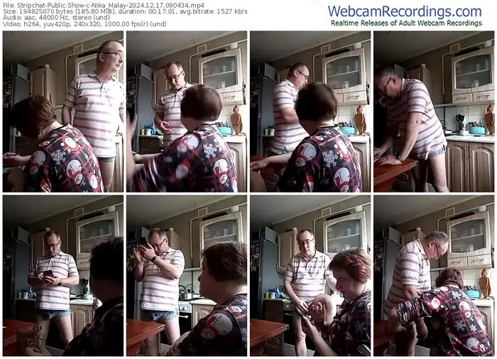 stripchat-nika_malay-12-17-2024-09-04-34