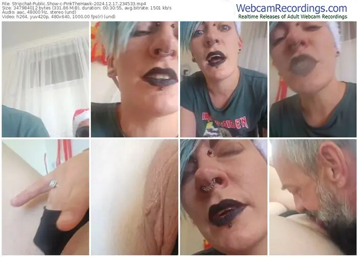 stripchat-pinkthehawk-12-17-2024-23-45-33