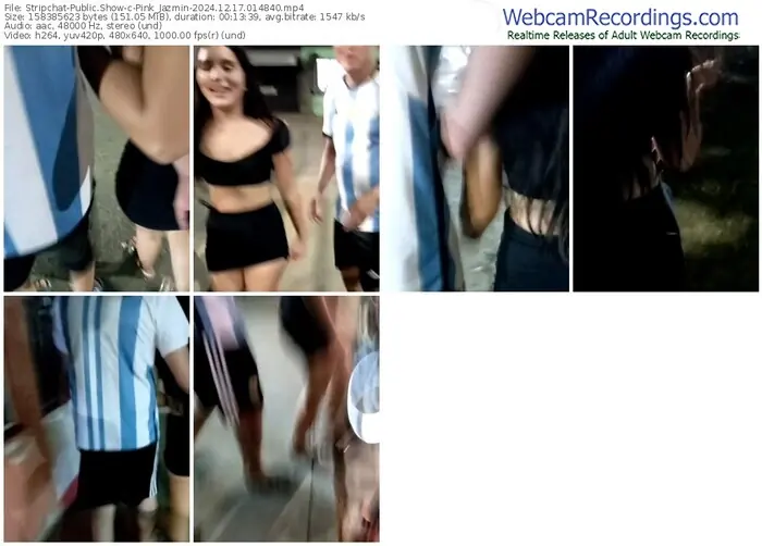 stripchat-pink_jazmin-12-17-2024-01-48-40