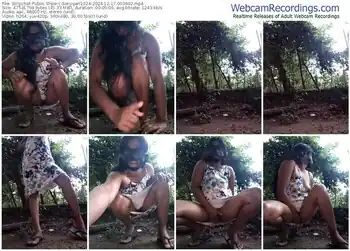 stripchat-sexygarl1024-12-17-2024-00-36-02