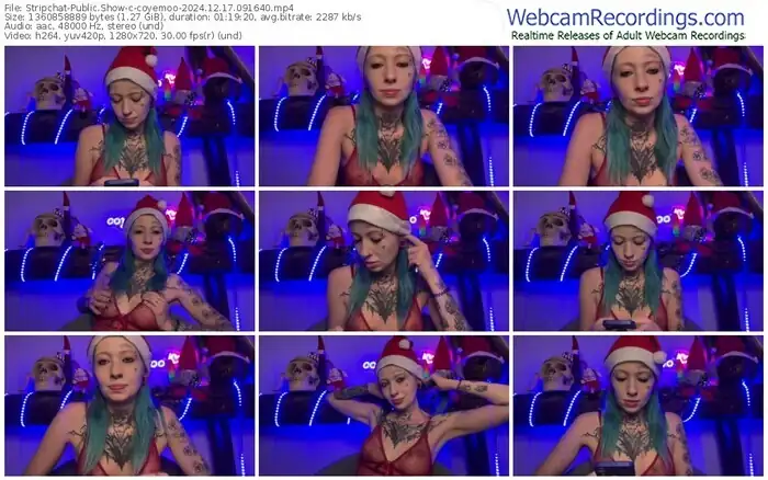 stripchat-coyemoo-12-17-2024-09-16-40