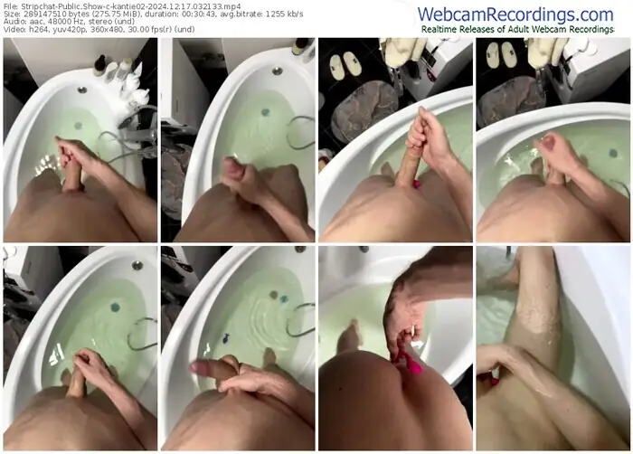 stripchat-kantie02-12-17-2024-03-21-33