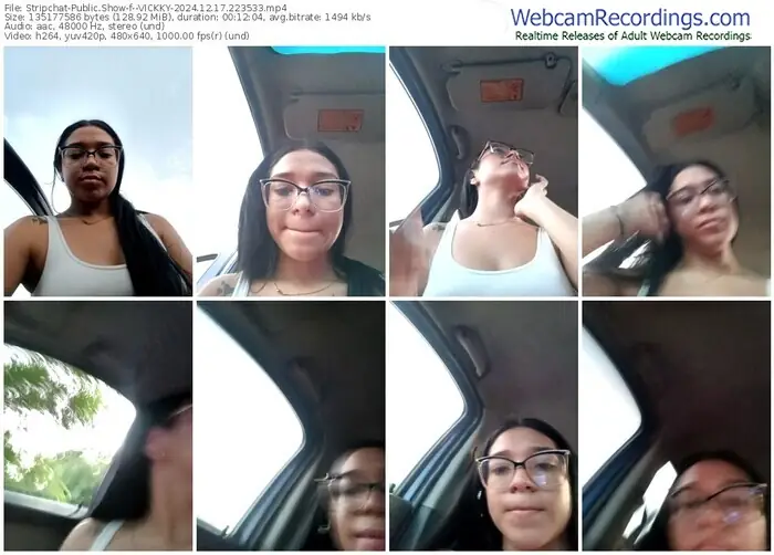 stripchat--vickky-12-17-2024-22-35-33