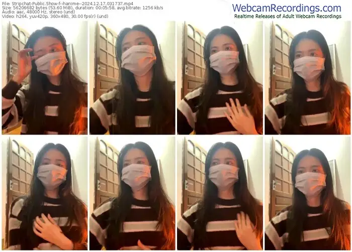stripchat--hanime--12-17-2024-03-17-37