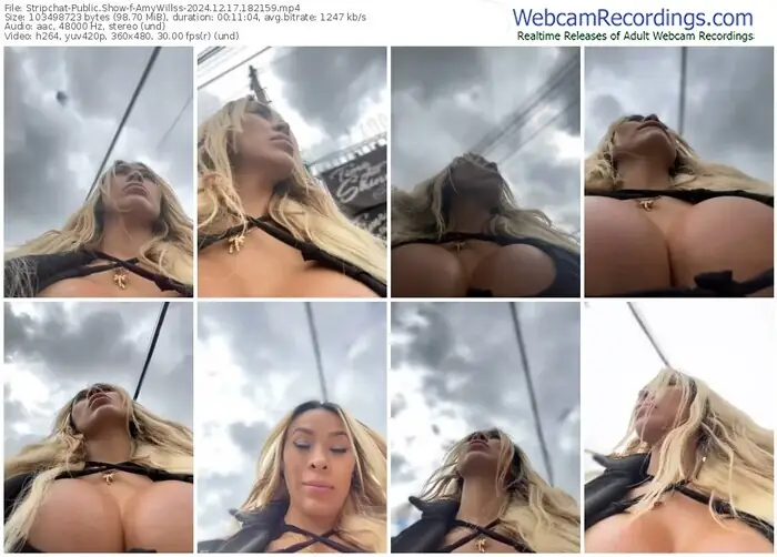 stripchat-amywillss-12-17-2024-18-21-59