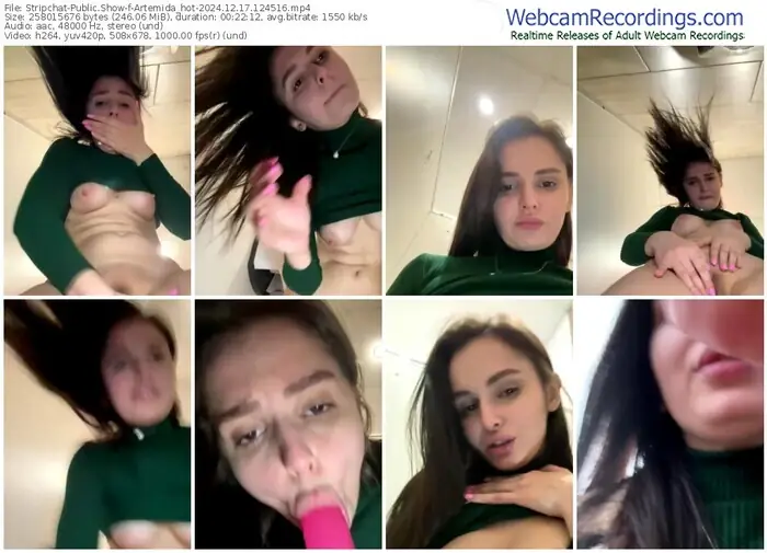stripchat-artemida_hot-12-17-2024-12-45-16