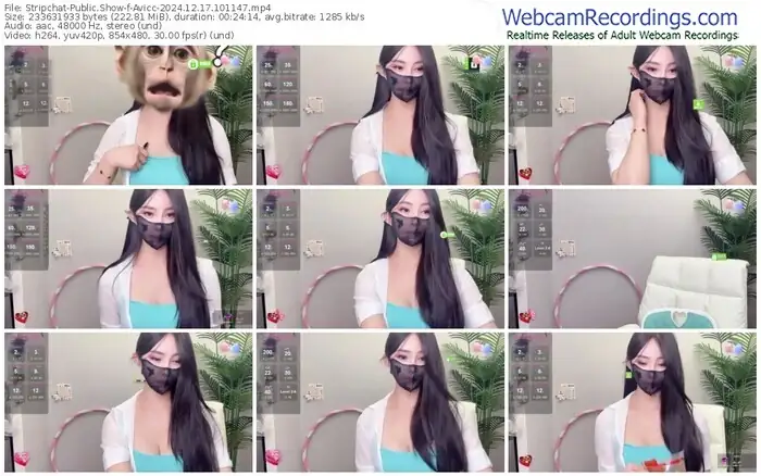 stripchat-avicc-12-17-2024-10-11-47