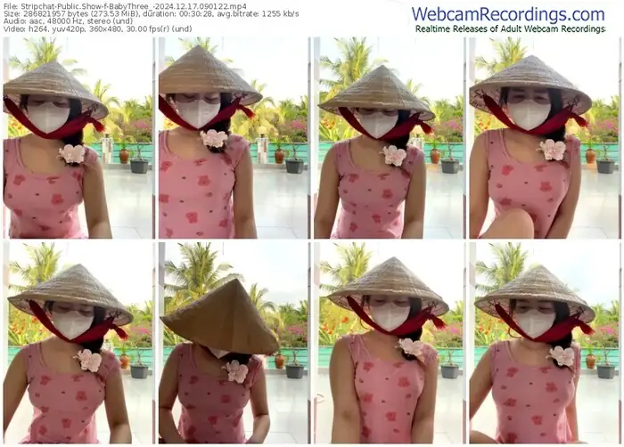 stripchat-babythree_-12-17-2024-09-01-22