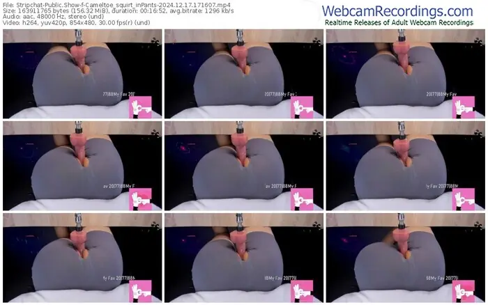 stripchat-cameltoe_squirt_inpants-12-17-2024-17-16-07