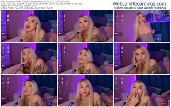 stripchat-dreampussyy-12-17-2024-07-33-31