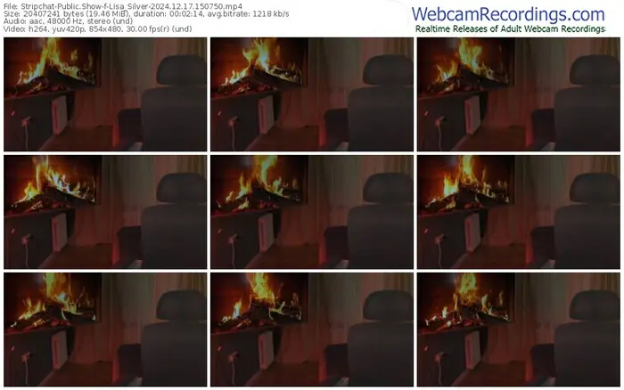 stripchat-lisa_silver-12-17-2024-15-07-50