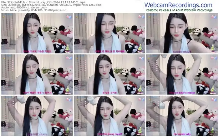 stripchat-lucky_cat--12-17-2024-14-45-01