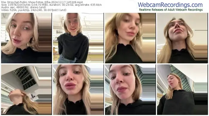 stripchat-miss_elfie-12-17-2024-14-53-28