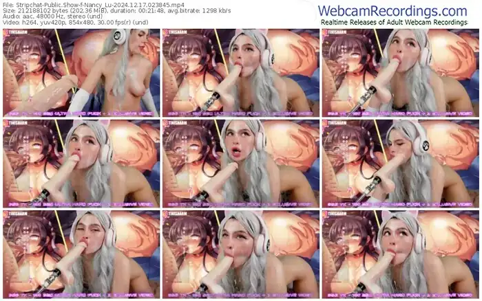 stripchat-nancy_lu-12-17-2024-02-38-45