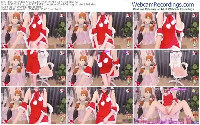 stripchat-yuka_chan-12-17-2024-13-01-00