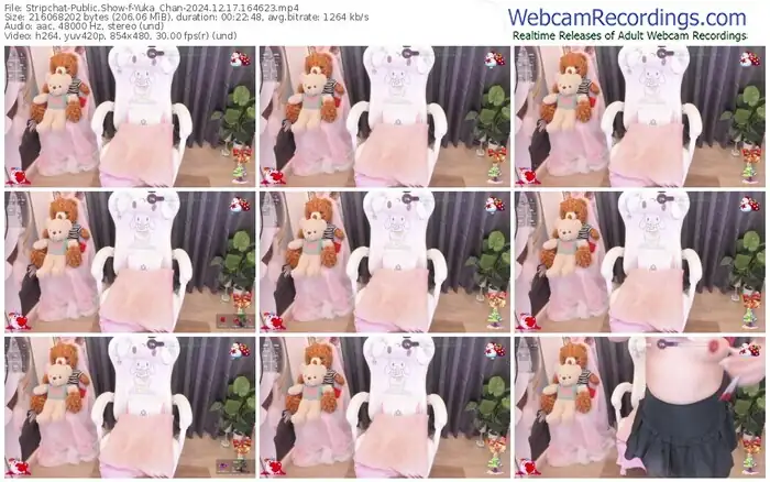 stripchat-yuka_chan-12-17-2024-16-46-23
