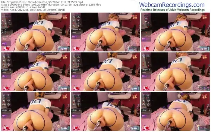 stripchat-dakotha_90-12-17-2024-21-25-33