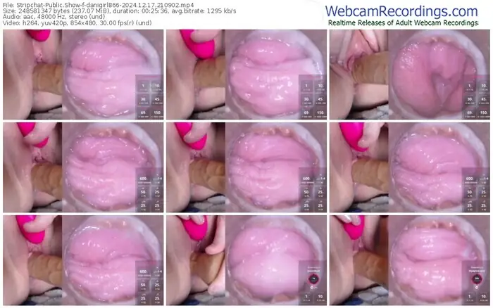 stripchat-danigirl866-12-17-2024-21-09-02